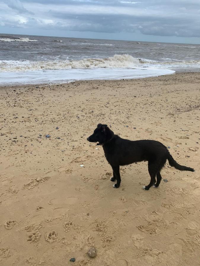 Norfolk Caravan Staycation Pet Friendly Belton with Browston ภายนอก รูปภาพ